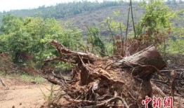 湖北荆门爆料新闻,最新爆料揭示惊人真相！