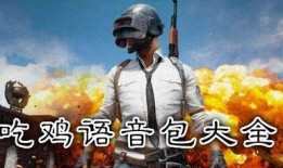 吃鸡国际服最新金装爆料,全新装备与玩法大揭秘！